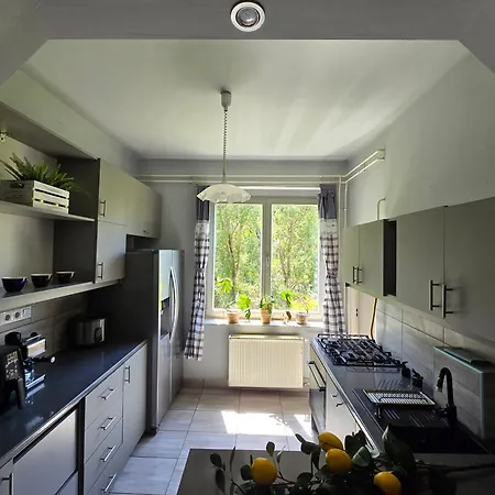Appartement Serenity Family In Old Buda Near Tram Line Budapest